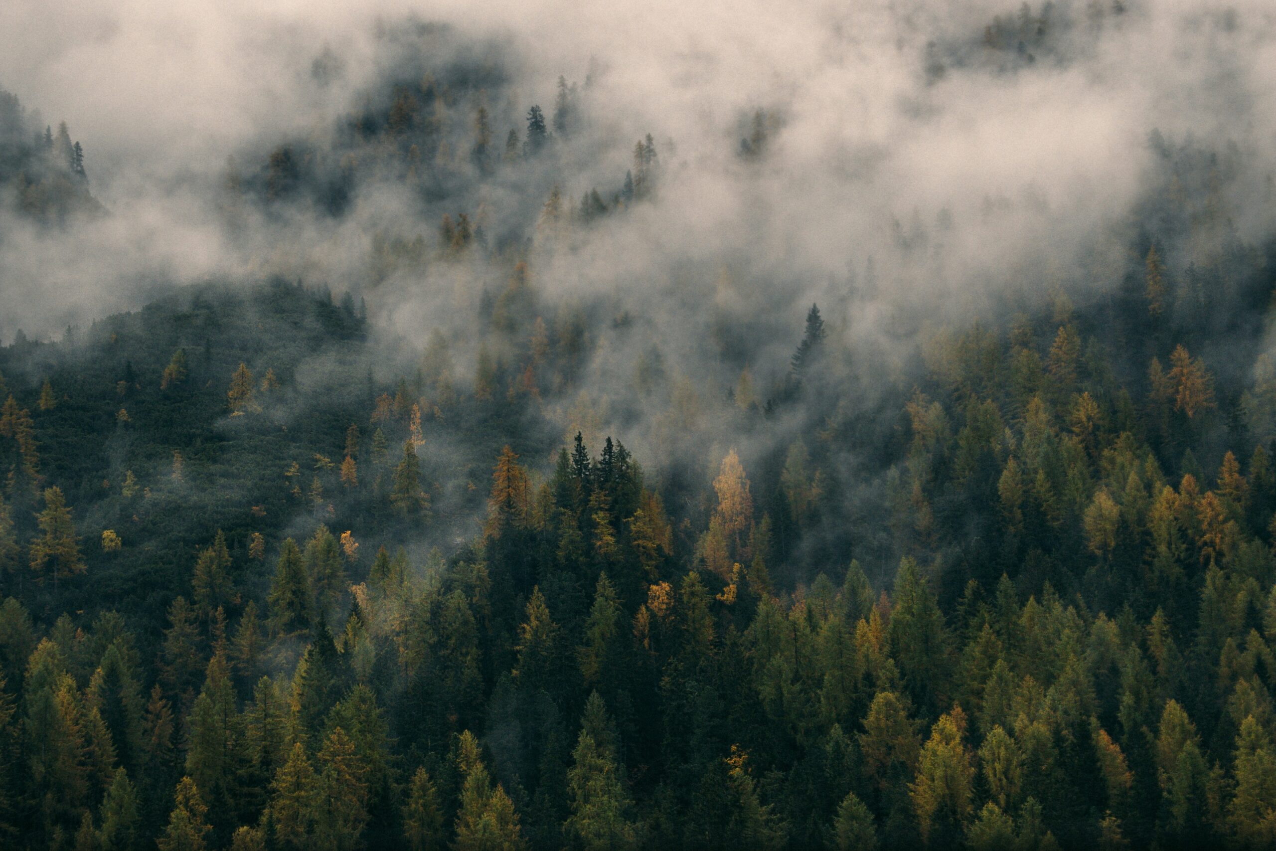 Calm Design & AGI - Image by Vadim Sherbakov