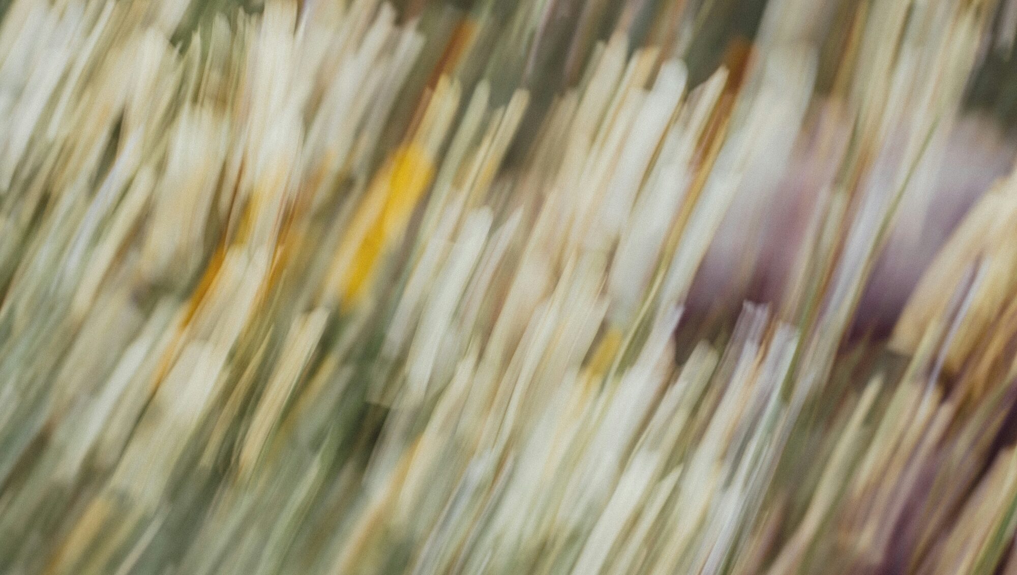 Diseño Calmado para mentes neurodivergentes