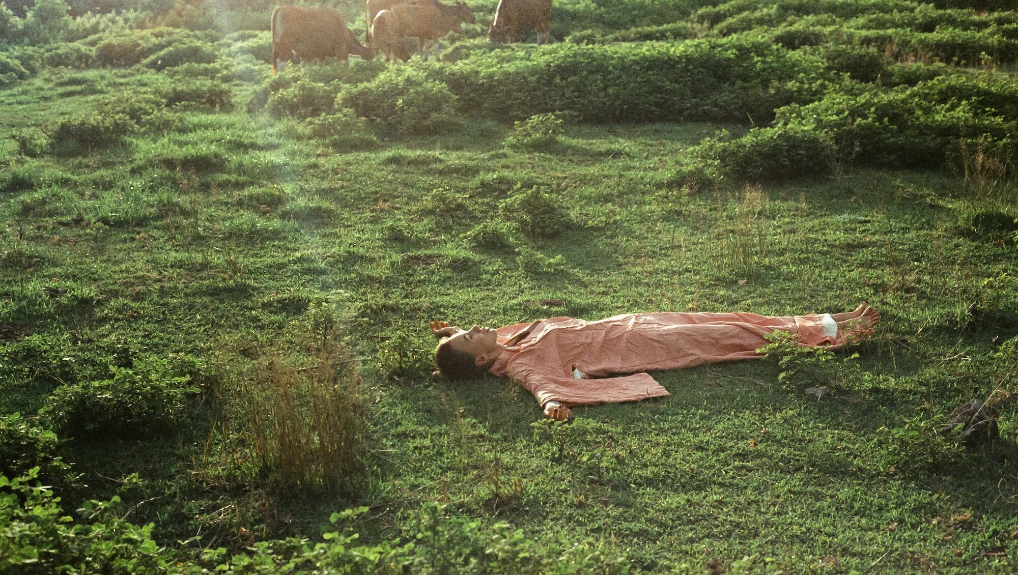 From Wellness to Well-Being: Designing for a Healthier Relationship with Technology